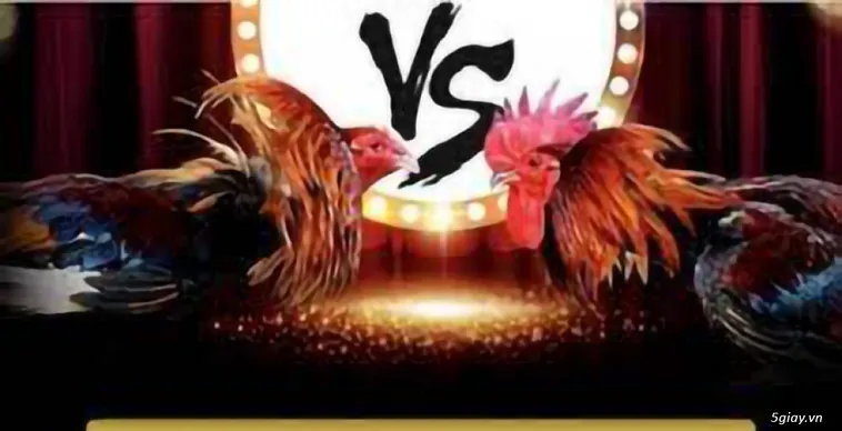 Đá Gà ANO88 Đấu Trường Kê Vương Đỉnh Cao Toàn Cầu