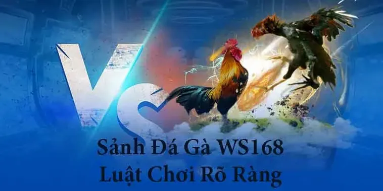 Bí Kíp Chơi Đá Gà WS168 Tại ANO88 Giúp Kê Thủ Hốt Bạc Lớn