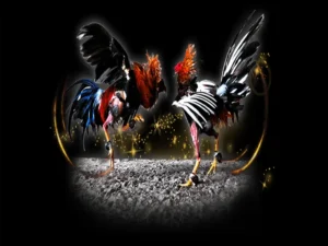 Cách Chơi Đá Gà Sabong Tại ANO88 Luôn Thắng