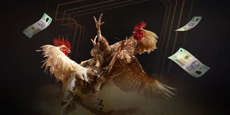 Đá Gà ANO88 Đấu Trường Kê Vương Đỉnh Cao Toàn Cầu